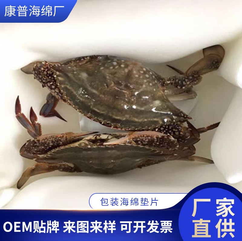 海鲜冷链吸水包装海绵｜包装内衬泡棉定制厂家 - 用于水产与海鲜冷链包装的吸水、隔离与缓冲，可按箱规、吸水需求